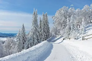 Breisgau: Snow covered road in winter, Schauinsland, Black