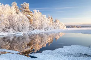 Half: Snow-covered trees reflected in a semi-frozen lake