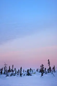 Wapusk: Snow-covered tundra, Wapusk National Park