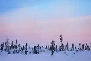 Wapusk: Snow-covered tundra, Wapusk National Park