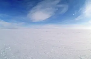 Siberia: Snow-covered tundra in winter