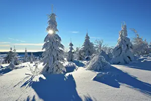 Reflex: Snow-covered winter landscape at Fichtelberg, bright