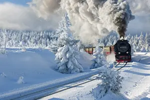 Track: Snow-covered winter landscape with snow-covered spruce forest