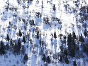 Roads: Snow covers the ground in Cantal