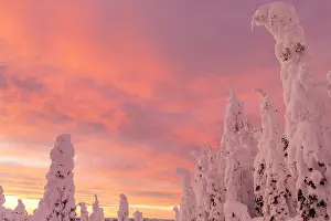 Rime: Snow ghosts in the Whitefish Range near