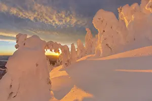 Rime: Snow ghosts in the Whitefish Range near
