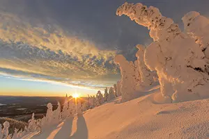 Rime: Snow ghosts in the Whitefish Range near