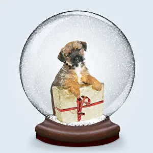 Presents: Snow Globe with Border Terrier puppy and present