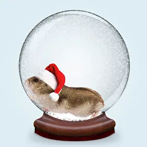 Hamsters: Snow globe of Hamster wearing Christmas party hats