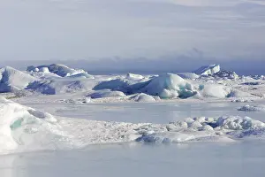 Pennisular: Snow Hill Island - Antarctic Pennisular