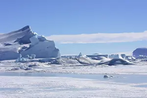 Pennisular: Snow Hill Island - Antarctic Pennisular