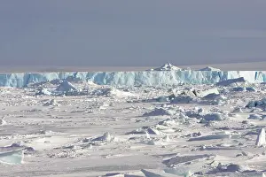 Pennisular: Snow Hill Island - Antarctic Pennisular