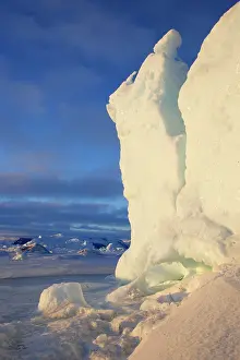 Pennisular: Snow Hill Island - Antarctic Pennisular