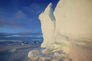 Pennisular: Snow Hill Island - Antarctic Pennisular