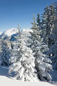 Oberland: Snow Landscape in the Bernese Alps. Diemtigtal