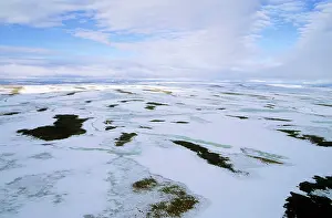 Siberia: Snow melts in arctic tundra spring. Aerial view