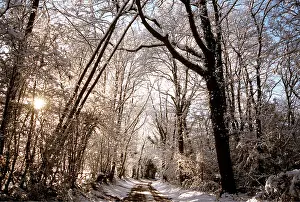 Sympathy: SNOW & sunlight