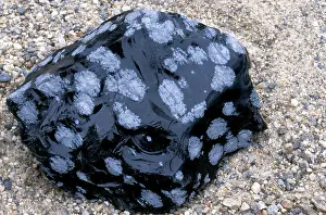 Glassy: Snowflake Obsidian