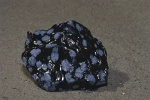 Glassy: Snowflake Obsidian