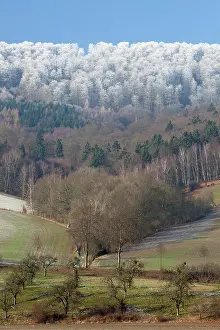 Weser: Snowline - on forestry in the River Weser valley in winter