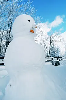 Snowmen: SNOWMAN