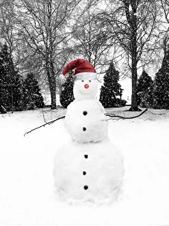 Snowman: snowman