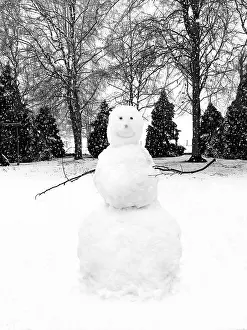 Snowman: snowman