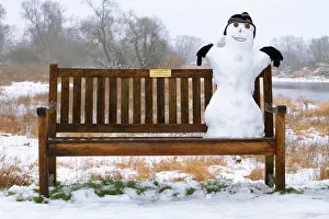Bench: Snowman on a bench, Middle Elbe Biosphere Reserv