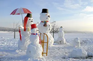Sport: Snowman Family with animal figures, winter landscape Snowman