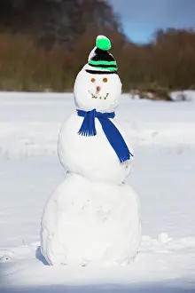 Scarf: Snowman, on field, Hessen, Germany
