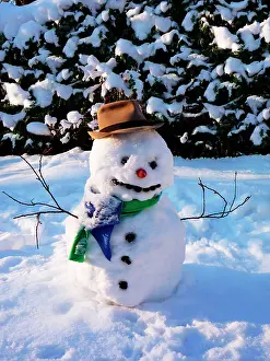 Snowmen: Snowman - with scarf & hat in winter scene
