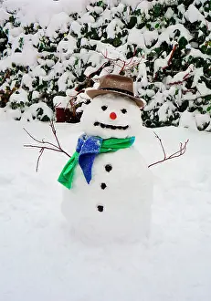 Snowmen: Snowman - with scarf & hat in winter scene