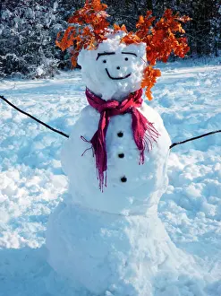 Snowmen: Snowman - with scarf in winter scene