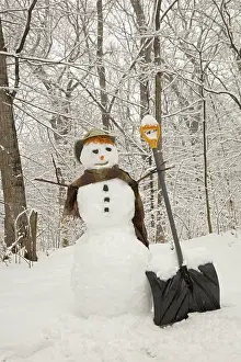 Snowman: snowman, Washington D.C. area, Maryland, March