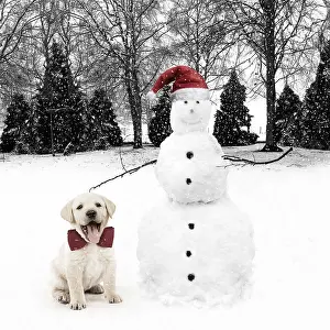 Snowman: Snowman wearing Christmas hat with Labrador puppy