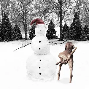 Snowman: Snowman wearing Christmas hat in winter snow