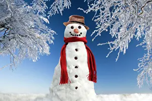 Snowmen: Snowman - in winter snow