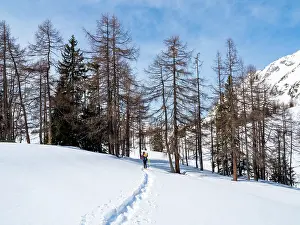 Mountaineer: Snowshoe hiker in winter landscape, Tauplitzalm