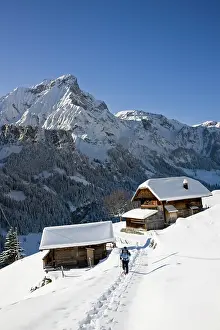 Bern: Snowshoeing in Griesalp and Steineberg in