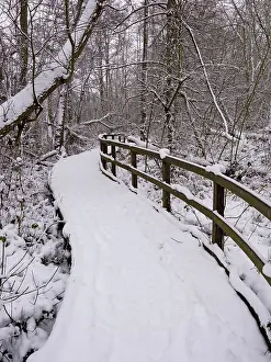 Pathways: Snowy boardwalk