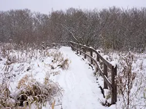 Pathways: Snowy boardwalk