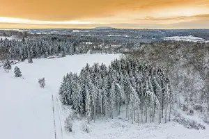 Treetop: Snowy Forest Harz Selketal Sunset