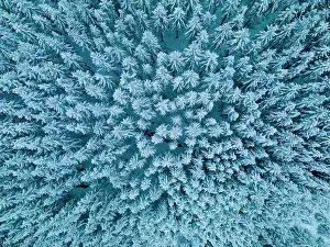 Graphics: Snowy forest seen by drone, Ardennes, Belgium
