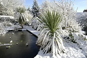 Heavy: Snowy garden