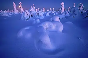 Moonlight: Snowy landscape with full moon, Kuntivaara, Finland