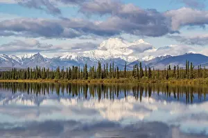 Denali: Snowy mountain Denali reflected in the lake with
