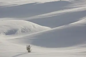 Sunndalsfjella: Snowy mountain landscape - Dovrefjell-Sunndalsfjella