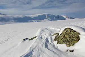 Sunndalsfjella: Snowy mountain landscape - Dovrefjell-Sunndalsfjella