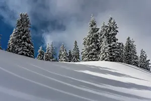 Allgau: Snowy mountain landscape with trees in winter and