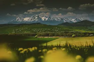 Slovakia: Snowy mountain peaks, meadow full of flowers, green